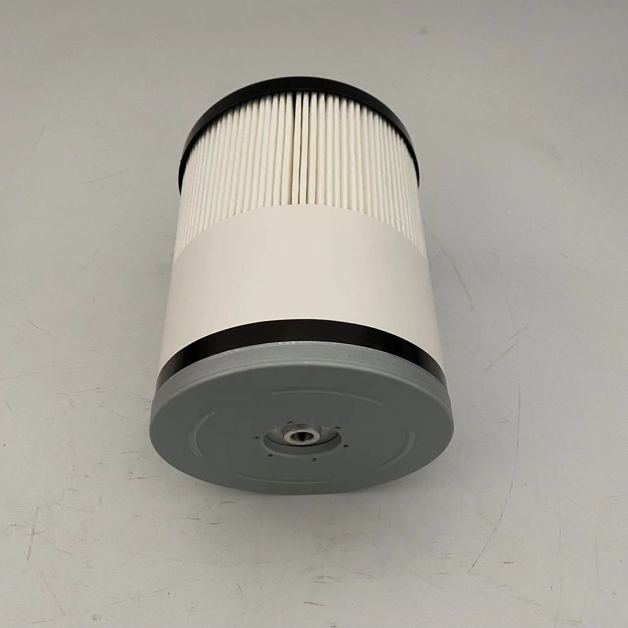 Fuel Filter FS20083