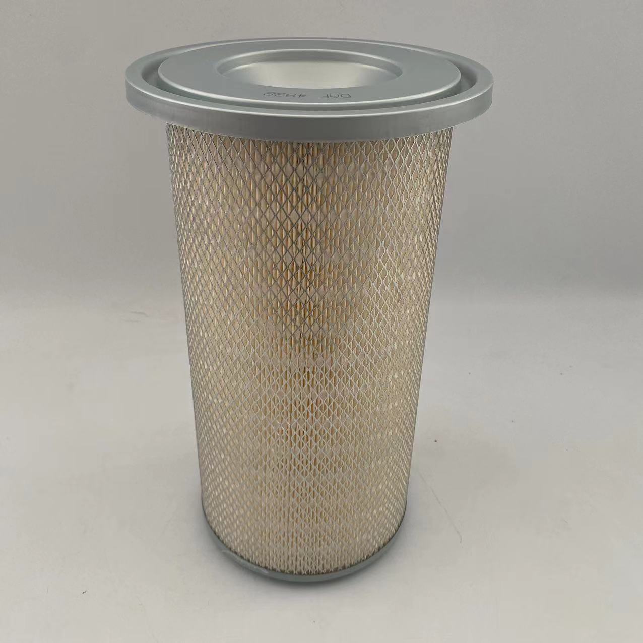 Air filter AF4838 for carter