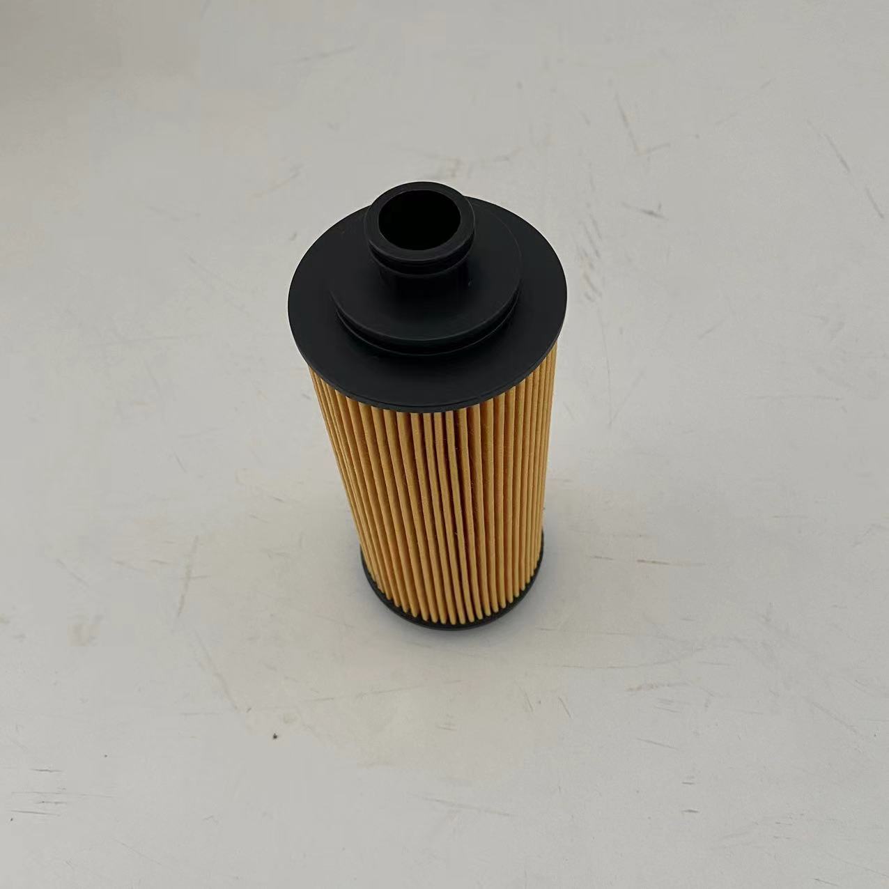 Oil Filters 12636838