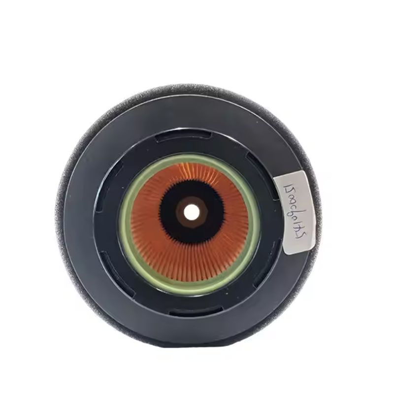 Car Auto Parts Fuel Filter 5410920805 A5410920405