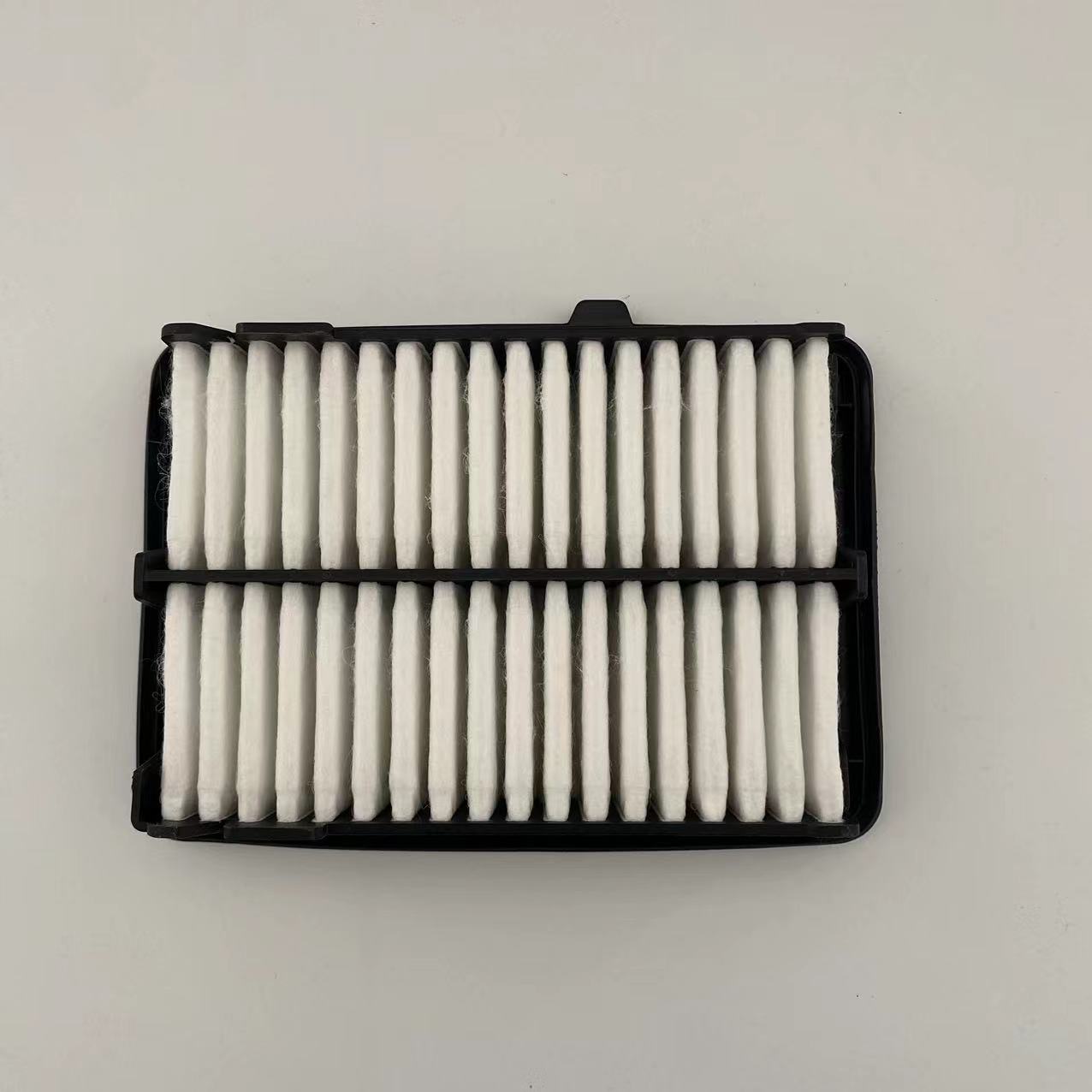 Air filter 17220-5R0-008
